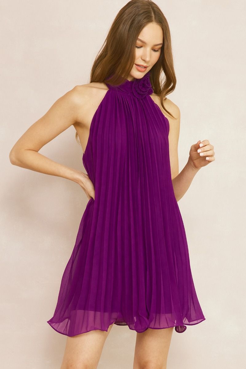 Sleeveless Violet Dress